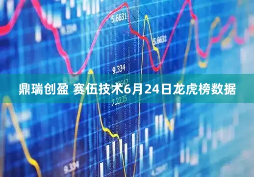 鼎瑞创盈 赛伍技术6月24日龙虎榜数据