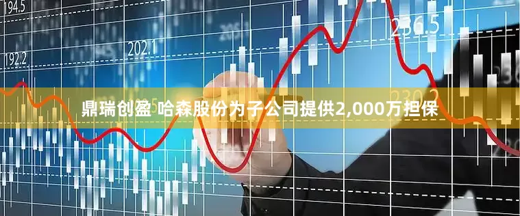 鼎瑞创盈 哈森股份为子公司提供2,000万担保