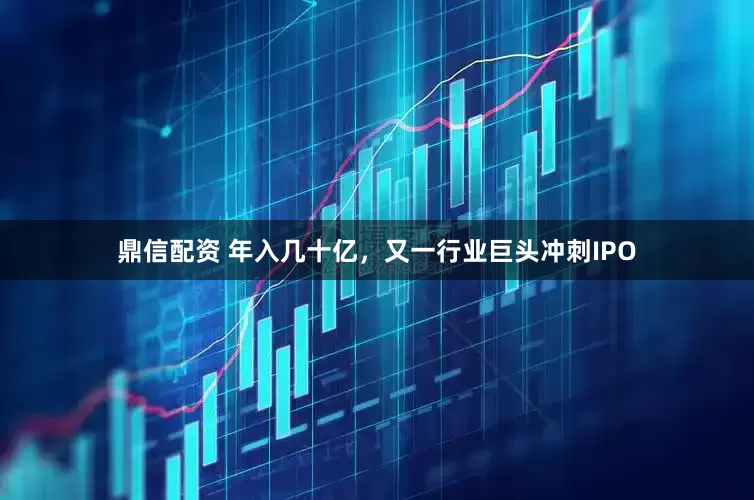 鼎信配资 年入几十亿，又一行业巨头冲刺IPO