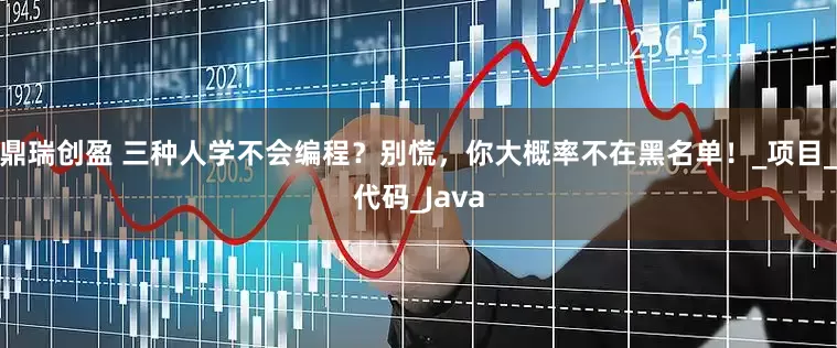 鼎瑞创盈 三种人学不会编程？别慌，你大概率不在黑名单！_项目_代码_Java